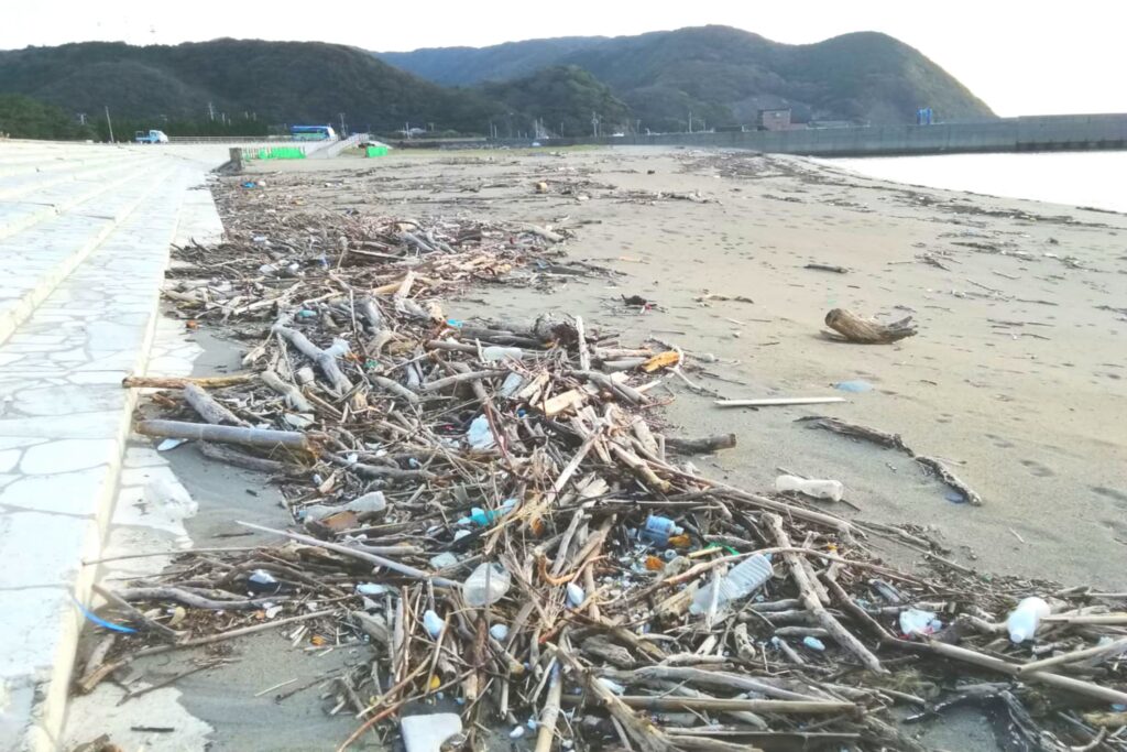 小茂田浜海岸清掃